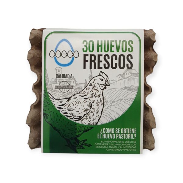 Huevos Pastoriles Coeco 30 Unidades