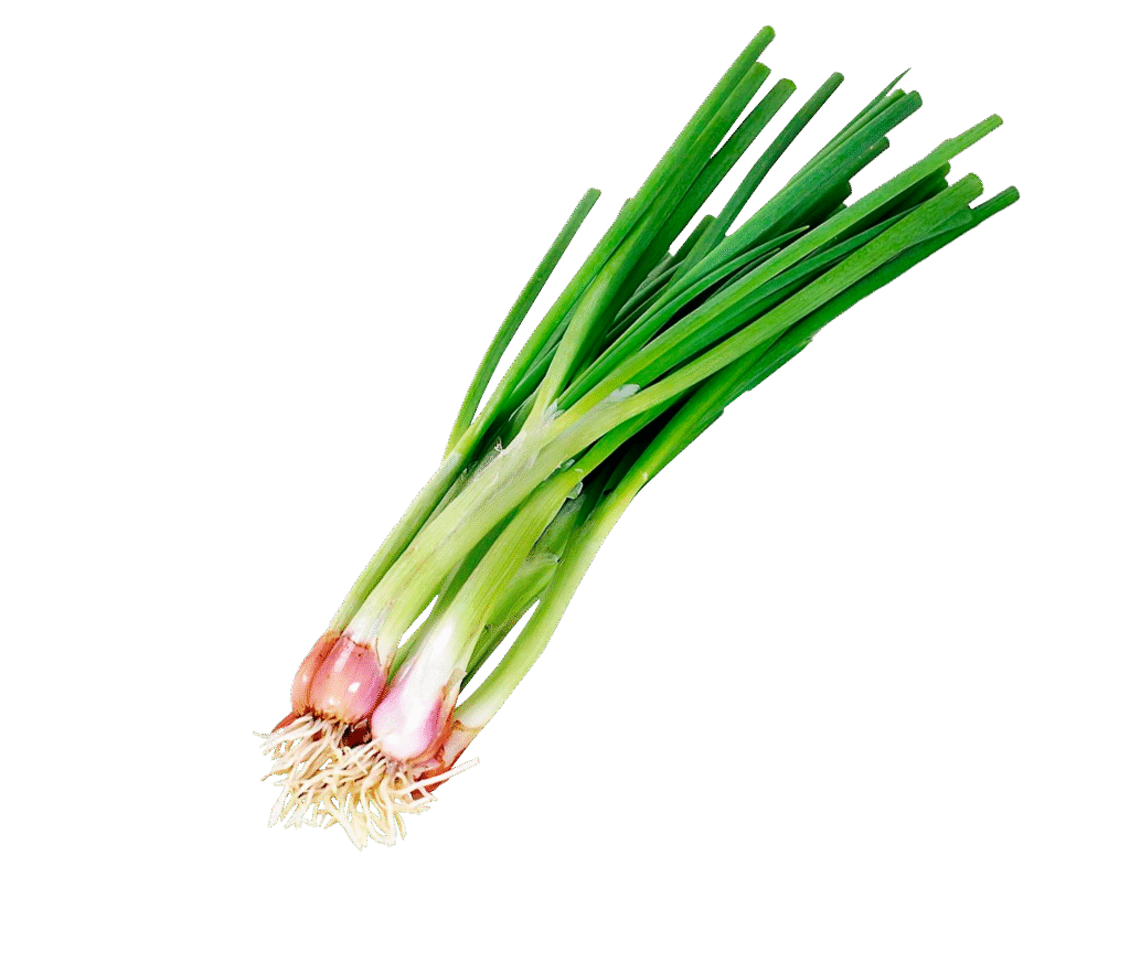 Cebolla de verdeo organica atado