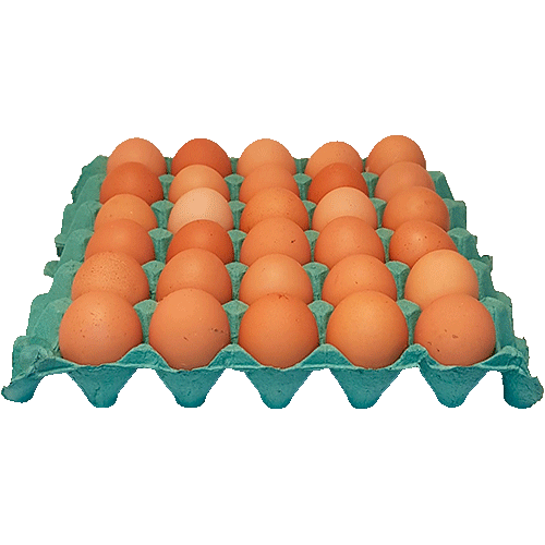 Huevos Pastoriles Coeco 30 Unidades