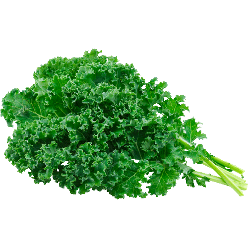 Kale Verde Organico Atado