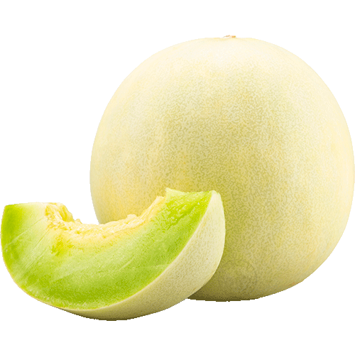 Melon Rocio De Miel Organico 1U.
