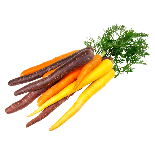 Zanahoria Mix Organica 500G