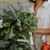 verduras organicas en barnville