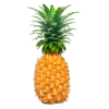 Anana-Eco-Por-Unidad-1U_