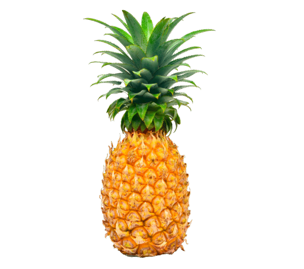 Anana-Eco-Por-Unidad-1U_