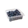 Arandanos Organicos Bandeja