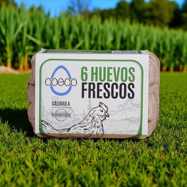 Huevos Pastoriles Coeco 6 Unidades 2