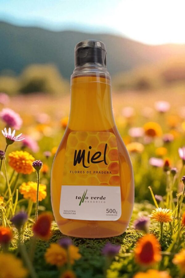 Miel De Pradera Organica Tallo Verde 500g.2